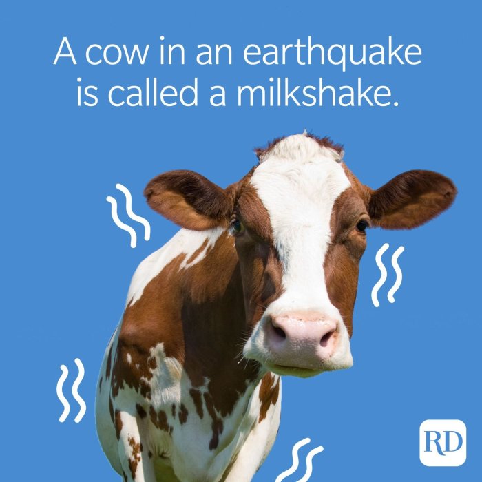 Joke what do cows drink