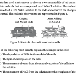 Mcq answers al chemistry exam paper