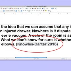 Essay exam issa final answers thatsnotus example