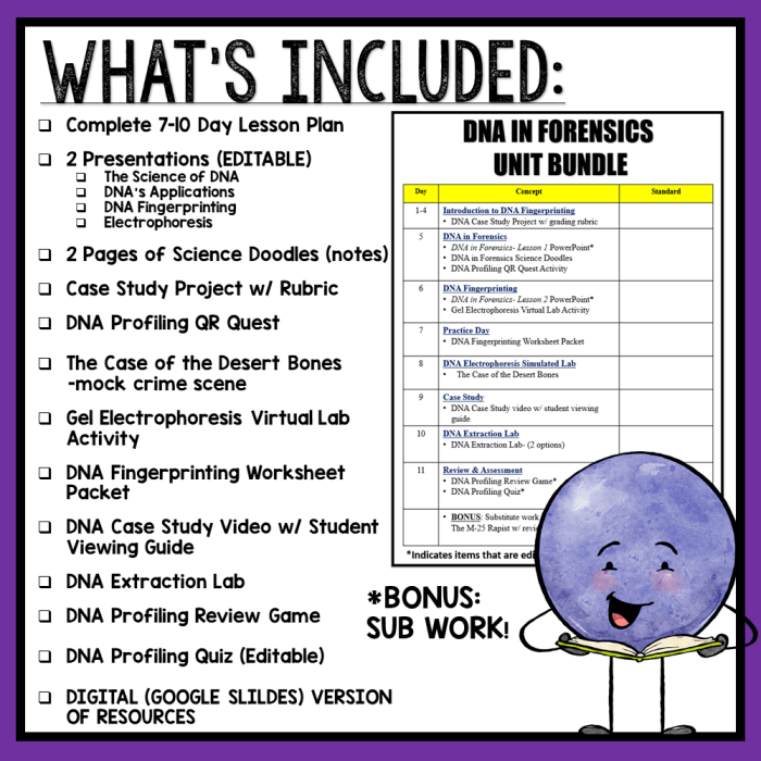 Dna fingerprinting worksheet answer key