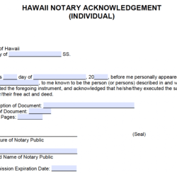 State of hawaii notary public manual