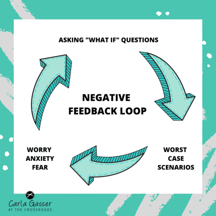 Exercise 16-3 negative feedback loops