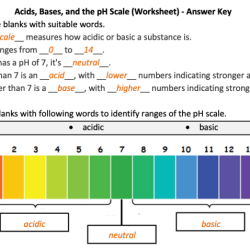 Acid/base worksheet #1 answer key