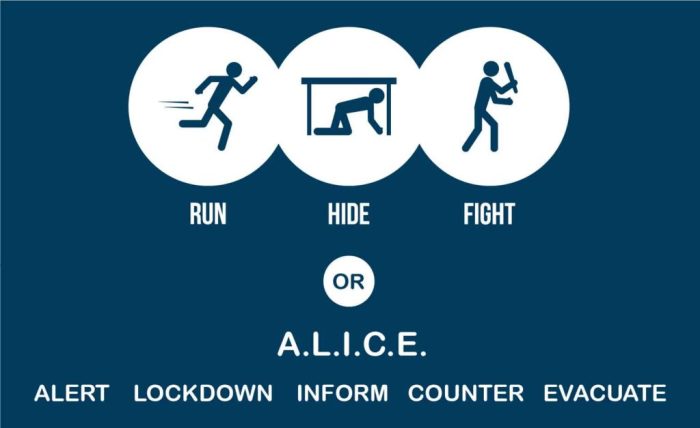 Alice enhanced lockdown strategies include