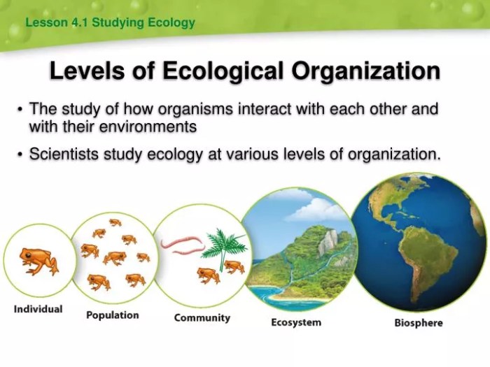 Levels of ecological organization worksheet