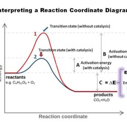 Following diagram label reaction coordinate transcribed text show