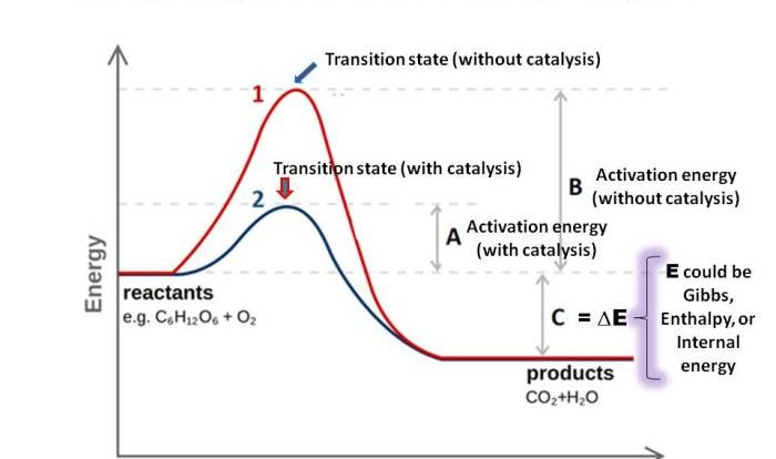 Following diagram label reaction coordinate transcribed text show