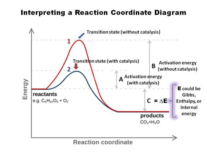 Following diagram label reaction coordinate transcribed text show