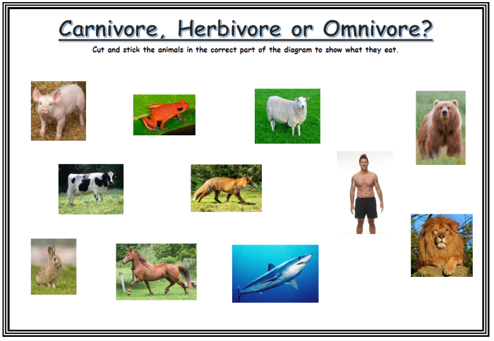 Herbivores omnivores carnivores oh my answers