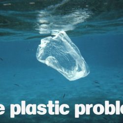 The plastic problem by jacqueline pratt-tuke