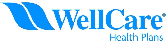 Wellcare has new all-dual d-snp products in