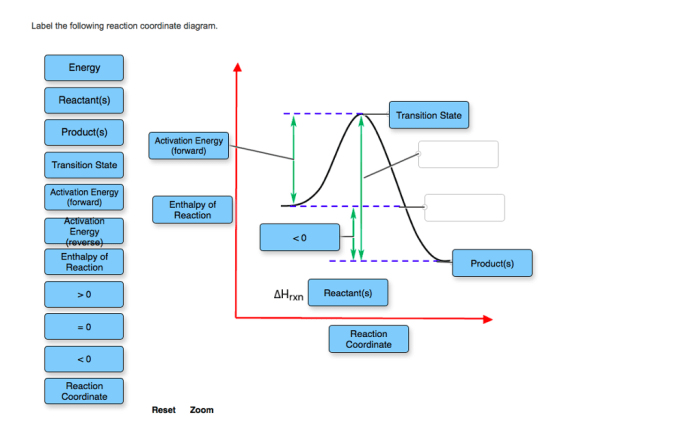 Label the following reaction coordinate diagram.