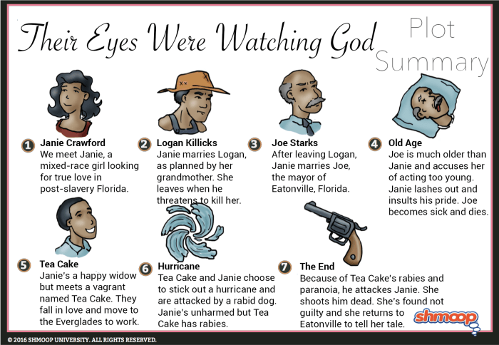 Chapter 13 summary their eyes were watching god